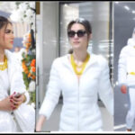 change video color with AI using automatic video color grading